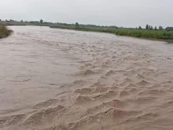 बिजनौर में बाढ़ का खतरा, भारी बारिश के बाद कई गांवों का संपर्क टूटा, किसानों की फसल बर्बाद