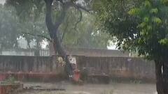 Weather Update: UP में अगले दो दिन होगी मूसलाधार बारिश | Hindi News
