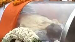 Prayagraj: पूर्व CM Kalyan Singh की अस्थियां की जाएंगी विसर्जित, Keshav Maurya होंगे शामिल