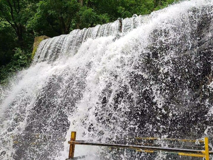 The forest department has informed that the public can be allowed to bathe in the Suruli waterfall in Theni in a couple of weeks தேனி: சுருளி அருவியில் குளிக்க ஓரிரு வாரங்களில் அனுமதி? - வனத்துறை அதிகாரிகள் தகவல்