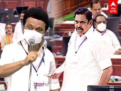TN Assembly: கோட்டையை அதிரவிட்ட கோடநாடு! மோதிக்கொண்ட ஸ்டாலின், எடப்பாடி
