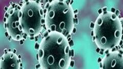 Bengal Corona Update: উদ্বেগ বাড়িয়ে ৭৫০ ছাড়াল রাজ্যের দৈনিক করোনা সংক্রমণ | Bangla News