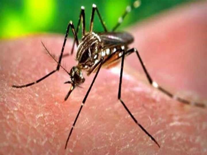 West Medinipur 11 people are found dengue positive at Narayangarh's Chengutia village medical team visits the place West Medinipur : নারায়ণগড়ের চেঙুটিয়ায় ডেঙ্গিতে আক্রান্ত ১১, গ্রামে পৌঁছল মেডিক্যাল টিম