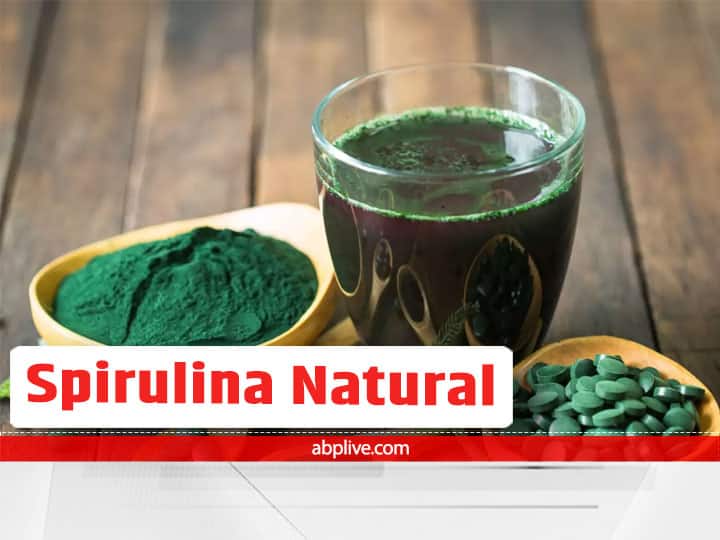 Super Food Spirulina Health Benefits Best Natural Source Of Protein, Vitamin B, A, E, C And Amino Acid Spirulina Multivitamin: स्पिरुलिना सेहत के लिए है ‘सुपरफूड’, प्रोटीन, विटामिन और अमिनो एसिड से भरपूर