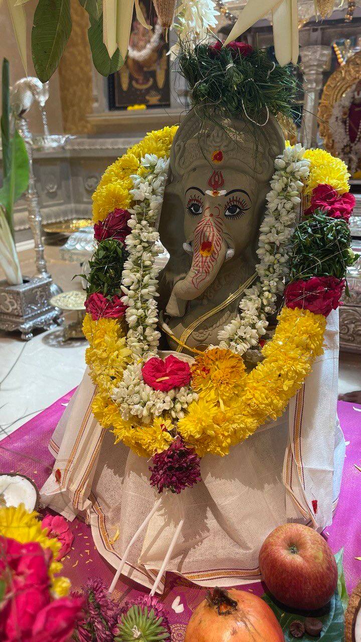 జీవితంలో ఎదురయ్యే విఘ్నాలు, ఆటంకాలు తొలగి అందరూ సుఖసంతోషాలతో, ఆయురారోగ్యాలతో అభివృద్ది పథంలో సాగాలని కోరుకుంటున్నట్టు తన ట్వీట్ లో పేర్కొన్నారు.