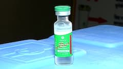 Covishield Vaccine निपाह विषाणूवरही प्रभावी? ऑक्सफर्ड विद्यापीठ, युएस नॅशनल इंस्टिट्यूटचं संशोधन