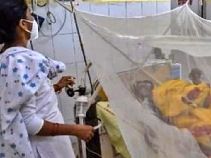 19 new cases of dengue found in Meerut Meerut Dengue Cases: मेरठ में डेंगू के 19 नए मामले, अस्पतालों में भर्ती 45 मरीज