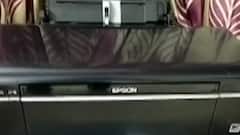 વડોદરાઃ શિનોરમાં કપિરાજનો આતંક, વીજપોલનો જીવંત તાર તૂટતા શોર્ટ સર્કિટ