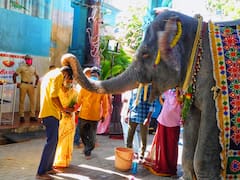 புதுச்சேரி : மணக்குள விநாயகர் சிறப்பு அலங்காரம்..!