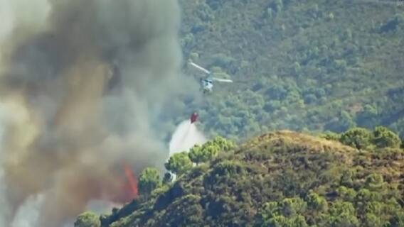 Spain: Horrific visuals of wildfire