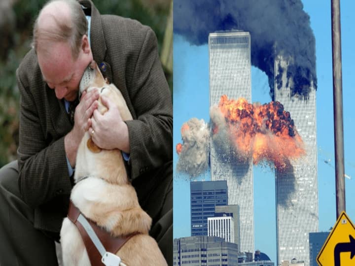 Dog saved its blind owner from 9/11 attacks and guided him to his friend's home ட்வின் டவர் தாக்குதலின்போது பார்வையற்ற உரிமையாளரை காப்பாற்றிய செல்ல நாய்.. ஒரு நெகிழ்ச்சி கதை