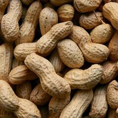 Peanut Benefits : ক্যানসারের ঝুঁকি কমায়, শিশুদের বৃদ্ধির জন্য প্রয়োজনীয় প্রোটিনও রয়েছে চিনাবাদামে