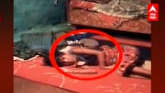 Wardha : दोन तास साप गळ्यात, बोलावूनही सर्पमित्र आला नाही अन् सापानं दंश केला...