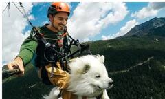 Video Viral: अपने मालिक के साथ कुत्ते ने की पैराग्लाइडिंग, लोगों को खूब आ रहा पसंद है यह वीडियो