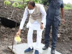 बारिश में पौधा लगाने के बाद उसमें पानी डालते हुए सीएम शिवराज की तस्वीर वायरल, मिल रहे ऐसे कमेंट्स
