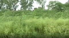 Jewar Airport: यात्रियों को मिलेगा हॉन्गकॉन्ग और न्यूयॉर्क जैसा फील! Hindi News