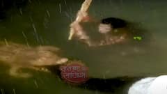 Bhagyalaxmi: Rishi in trouble as Crocodile attacks him