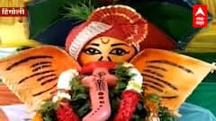 Hingoli Ganpati Festival : झाडापासून साकारला गणपती, विद्यार्थ्यांचा कौतुकास्पद उपक्रम : Marathi News