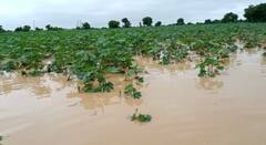 કચ્છમાં મેઘરાજાની તોફાની બેટિંગ તો તાપીનો ઉકાઈ ડેમ છલોછલ ભરાયો