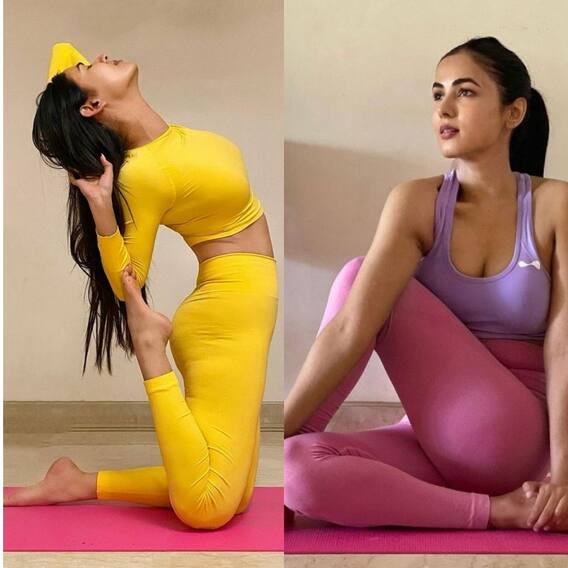 Sonal Chauhan Update: బాలయ్య హీరోయిన్ యోగా పోజులు.. ఫొటోలు వైరల్ Sonal Chauhan Update: బాలయ్య హీరోయిన్ యోగా పోజులు.. ఫొటోలు వైరల్