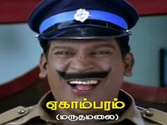 ’சூனா பானா டு சங்கி மங்கி!’ - நம்ம ‘வைகைப்புயல்’ன் வேற வேற கெட்டப்புகள்