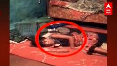 Warda Snake Bite: పాప తల వద్ద నాగుపాము.. చివరికి వెళ్తూ వెళ్తూ..