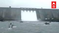Dam Water Storage : पाऊस फुल, धरणं हाऊसफुल्ल! मुसळधार पावसामुळे राज्यातील धरणं ओव्हरफ्लो