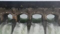 State Dam Water Leve:| राज्यातील धरणातील पाण्याची सद्यस्थिती ABP Majha