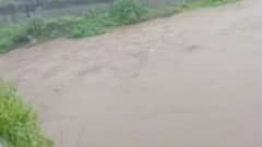 ગીરના જંગલમાં ભારે વરસાદના કારણે શેત્રુંજી નદીમાં થઈ પાણીની ભારે આવક