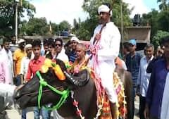 என்னிடம் காசு இல்லைப்பா... எருமையில் அமர்ந்து வேட்பு மனுத்தாக்கல் செய்ய வந்த வேட்பாளர்!