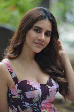 Actress Nabha Natesh pics: தெலுங்கு நடிகை நபா நடேஷ்  - ஸ்பெஷல் ஆல்பம்