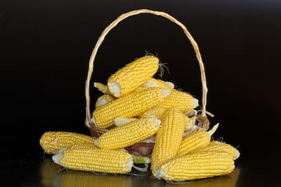 आंतरराष्ट्रीय बाजारात मकेच्या (Maize) मागणीत मोठी वाढ झाली आहे. त्यामुळं भारतातून होणारी मका निर्यात वाढली आहे.