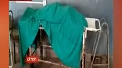 Mysterious Death: দেগঙ্গায় TMC-র পঞ্চায়েত সমিতির সদস্যের ঝুলন্ত দেহ উদ্ধার | Bangla News