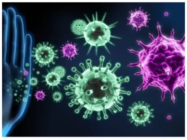 कोरोना वायरस से लड़ने के लिए बनती है 'Superhuman Immunity', जानिए कैसे Superhuman Immunity forms to fight off coronavirus Know how does it happen कोरोना वायरस से लड़ने के लिए बनती है 'Superhuman Immunity', जानिए कैसे