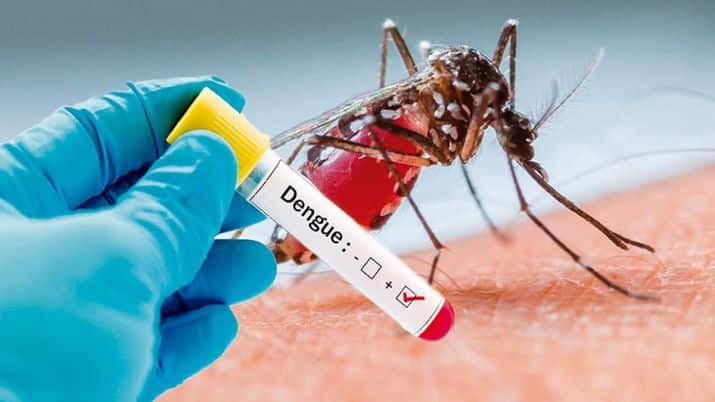 Dengue in UP: गाजियाबाद में बढ़े डेंगू के मामले, अलग-अलग अस्पतालों में 21 मरीजों का हो रहा इलाज