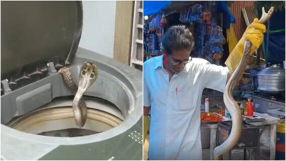 Viral Video: వాషింగ్ మిషన్ లో వింత శబ్దాలు... తెరిచి చూస్తే గుండె హడల్