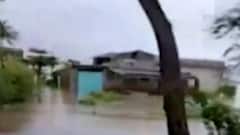 જૂનાગઢઃ ઘેડ પંથકના વિવિધ વિસ્તારોમાં ફરી વળ્યા પાણી, સેકડો એકર ખેતરો ફેરવાયા બેટમાં