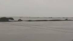 પોરબંદરના ચિકસા નજીકના ભાદર પુલમાં પાણીની સતત આવક, જુઓ ગુજરાતી ન્યુઝ