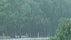 જૂનાગઢઃ વંથલીમાં ફરી શરૂ થયો ધોધમાર વરસાદ, સ્થાનિકોના જીવ ચોંટ્યા તાળવે