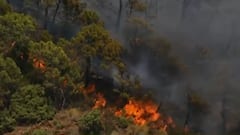 Flood in Gujarat and forest fire in Spain: Nature at its worst