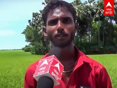Thirunelveli farmer: பாசுமதி அரிசியில் இவ்ளோ லாபமா? நெல்லை விவசாயி புது முயற்சி!