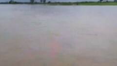 જૂનાગઢઃ બામણાસરમાં ખેતરો થયા પાણીમાં ગરકાવ, ખેડૂતોએ સરકારને શું કરી રજુઆત?