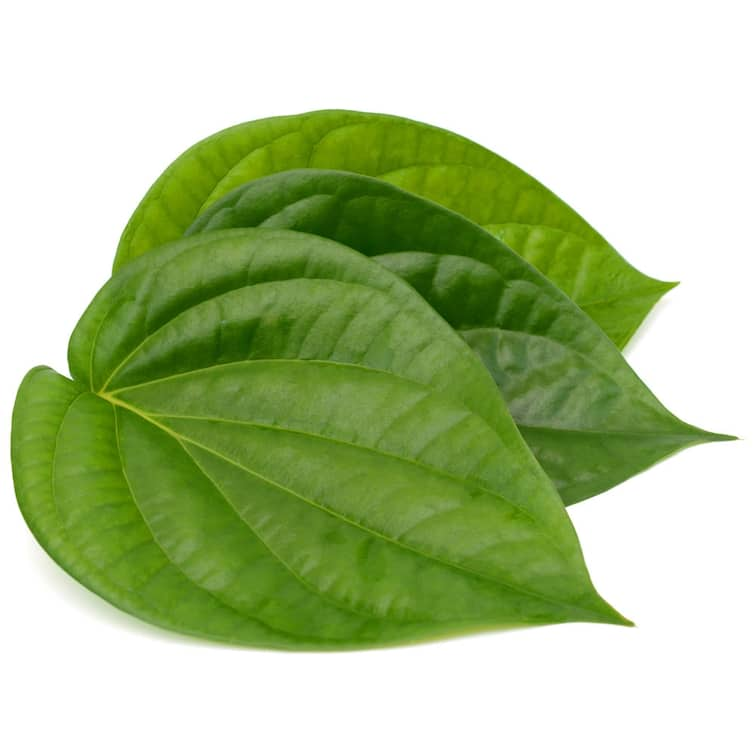 paan ke upay betel leaf it can make you rich Paan Upay: पान का ये उपाय बदल सकता है आपकी किस्मत, पैसों की तंगी हो जाएगी छूमंतर