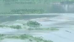 ભારે વરસાદ બાદ ઉકાઈ ડેમની શું છે સ્થિતિ?, જુઓ ગુજરાતી ન્યુઝ