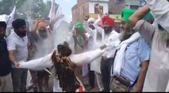 ਕਿਸਾਨਾਂ ਨੇ ਫੂਕਿਆ ਫਤਿਹਜੰਗ ਸਿੰਘ ਬਾਜਵਾ ਦਾ ਪੁਤਲਾ, ਦਿੱਤੀ ਸਖ਼ਤ ਚੇਤਾਵਨੀ