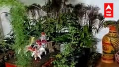 Hingoli : बाप्पाची मूर्ती बैलगाडीत विराजमान, चिमुकलीने नैसर्गिक वस्तूंचा वापर करत बनवला देखावा