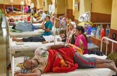 Kanpur Dengue : वायरल फीवर और डेंगू का कहर जारी, मौत का आंकड़ा 47 पहुंचा | ABP Ganga Hindi