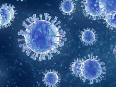 WB Corona Cases: গত ২৪ ঘণ্টায় রাজ্যে দৈনিক সংক্রমণ বেড়ে ৭০৩, বাড়ল মৃত্যুও