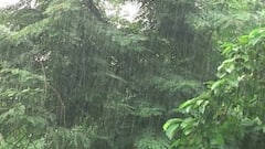 Weather Update: কাল দুপুরের পর থেকে আবহাওয়ার উন্নতি, জানাল আলিপুর আবহাওয়া দফতর | Bangla News