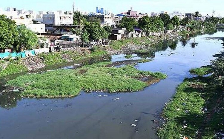 `பக்கிங்ஹாம் கால்வாய் சென்னையின் நுரையீரல். சாக்கடையாக்க வேண்டாம்!’ - தலைமை நீதிபதி காட்டம்!